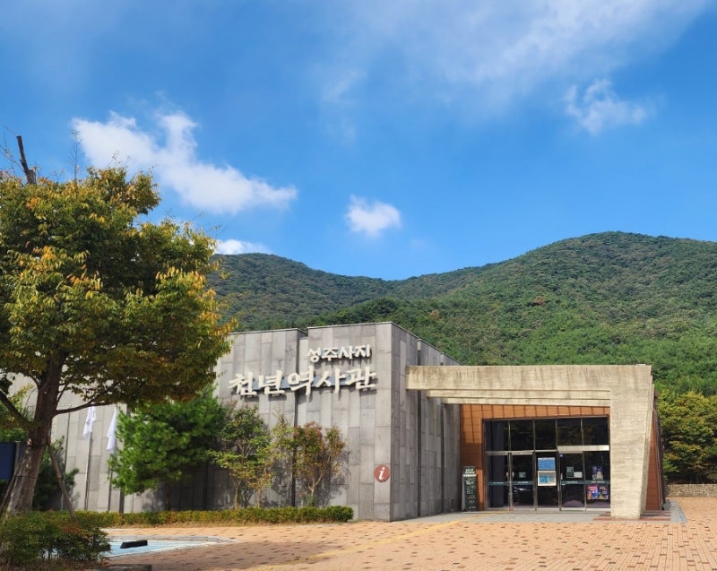 보령 가볼만한 곳｜성주사지 천년역사관, 아이와 함께하는 역사체험