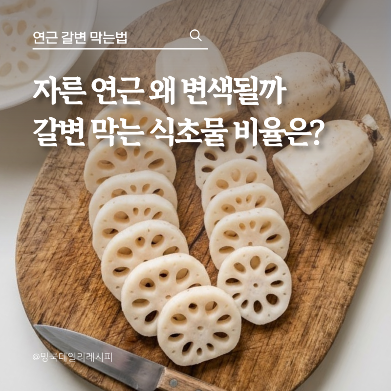 연근 자르면 왜 까매질까? 갈변 막는 식초물 비율