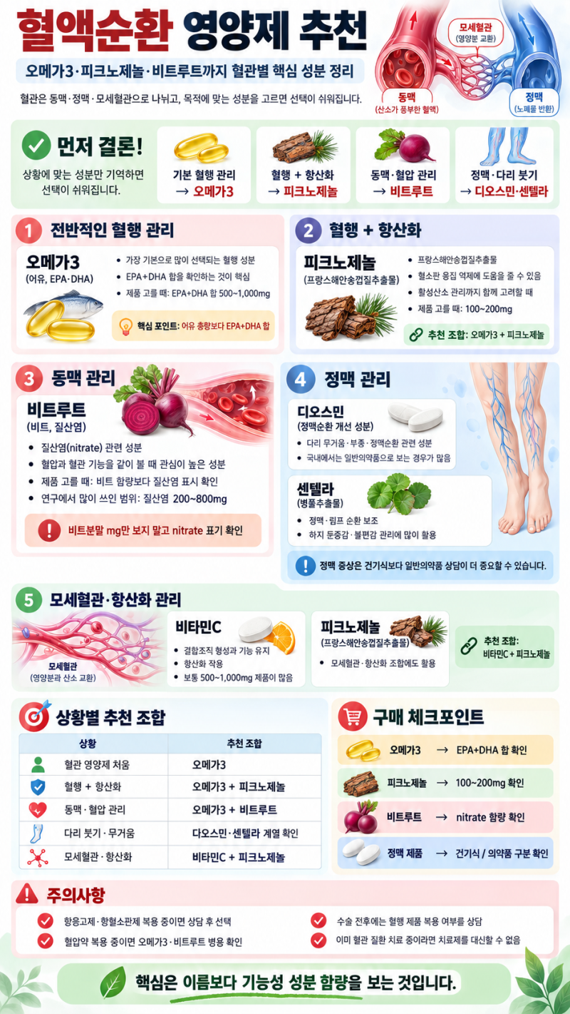 혈액순환 영양제 추천, 오메가3·피크노제놀·비트루트까지 혈관별 총정리