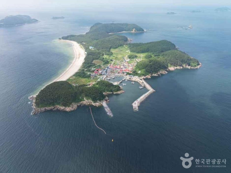 [2026년 10월 보령 호도 1박2일] 대천항에서 50분! 여우를 닮은 은빛 백사장 & 초보 도보 낚시 포....