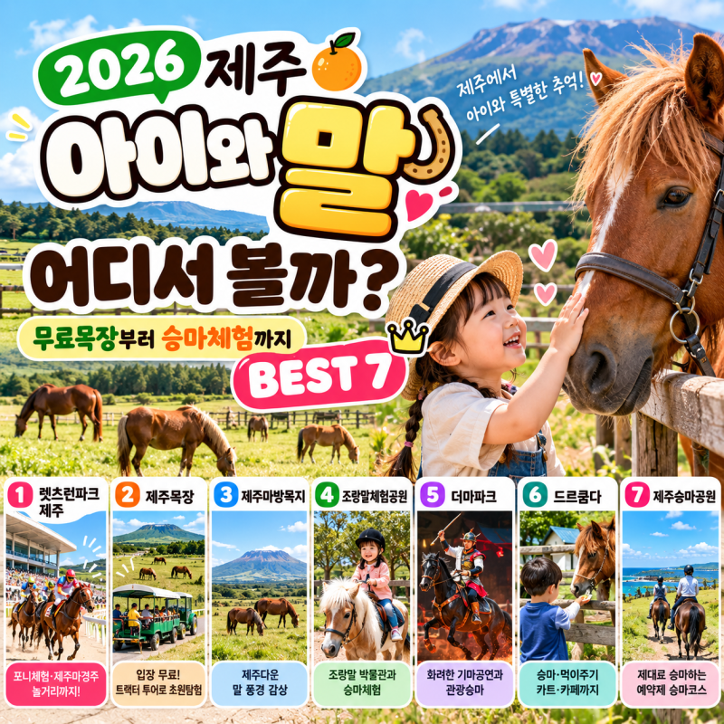 제주 아이와 말 어디서 볼까?무료 목장부터 승마체험까지 BEST 7｜2026 최신정보