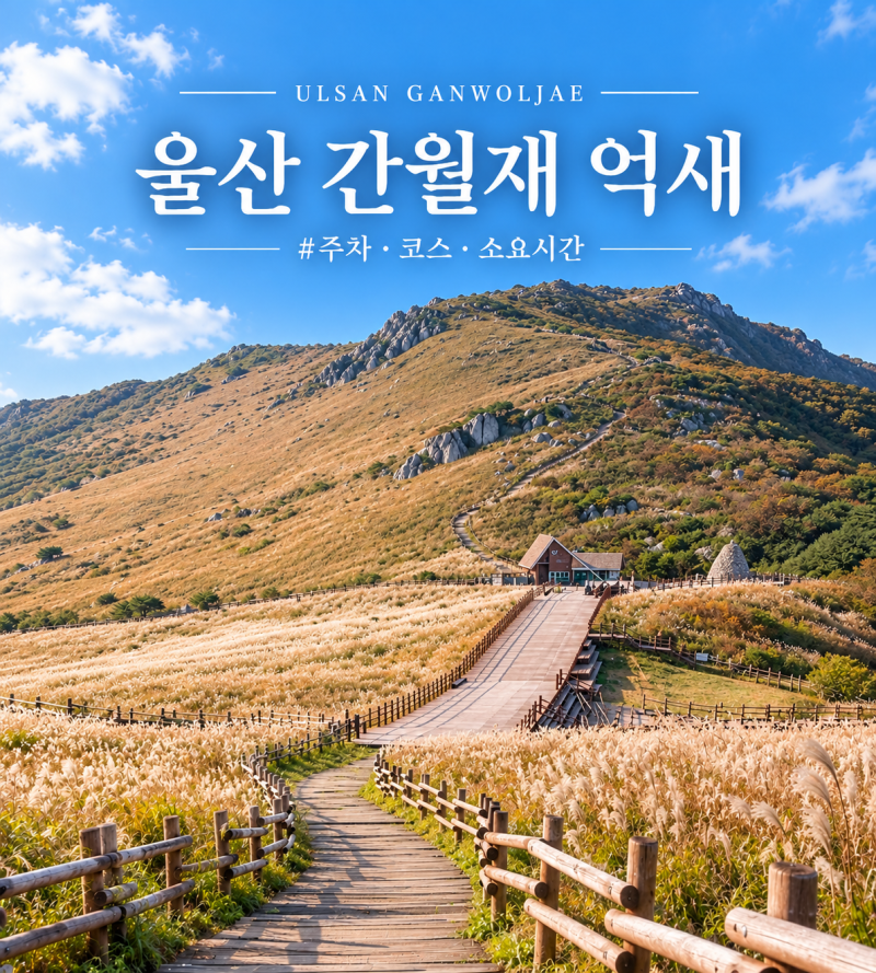 울산 간월재 억새｜주차·등산코스·소요시간 총정리