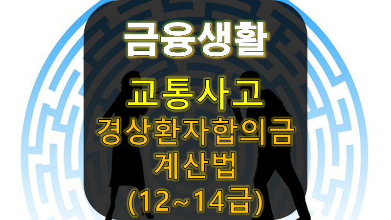 "경상환자 합의금 150만 원?" 바뀐 자동차보험 대인배상 경상환자(12~14급) 합의금 계산법 - 입....