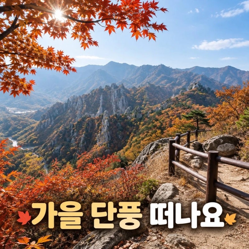 가을 단풍시기 올해 첫 단풍 관측과 절정 시기 예측ㅣ숨은가을단풍명소