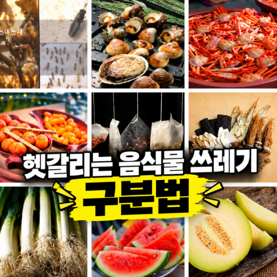 계란 껍데기? 사골 뼈? 헷갈리는 음식물 쓰레기 구분법 완벽 정리! ft. 쓰레기 해결사 동애등....