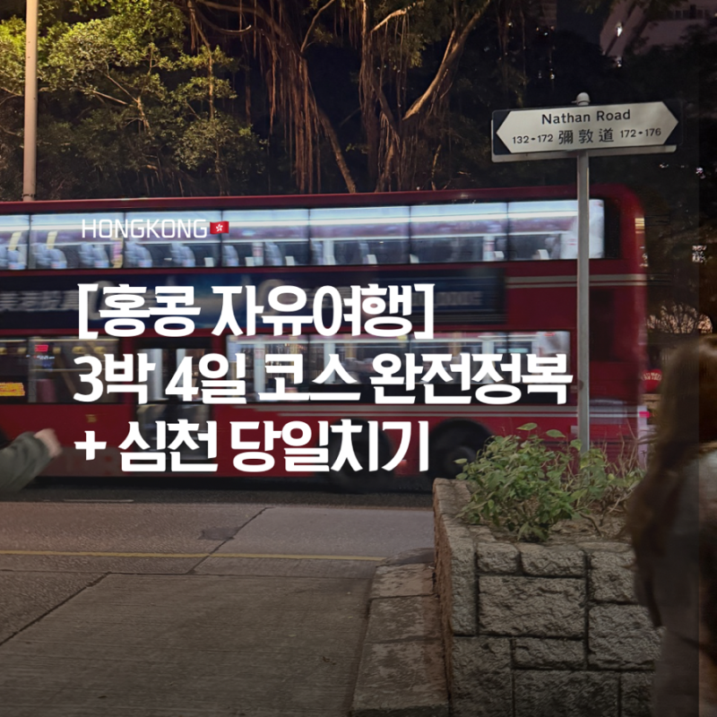 [홍콩 자유여행] 3박 4일 코스 & 심천 당일치기 완전정복 (맛집/야경/준비물)