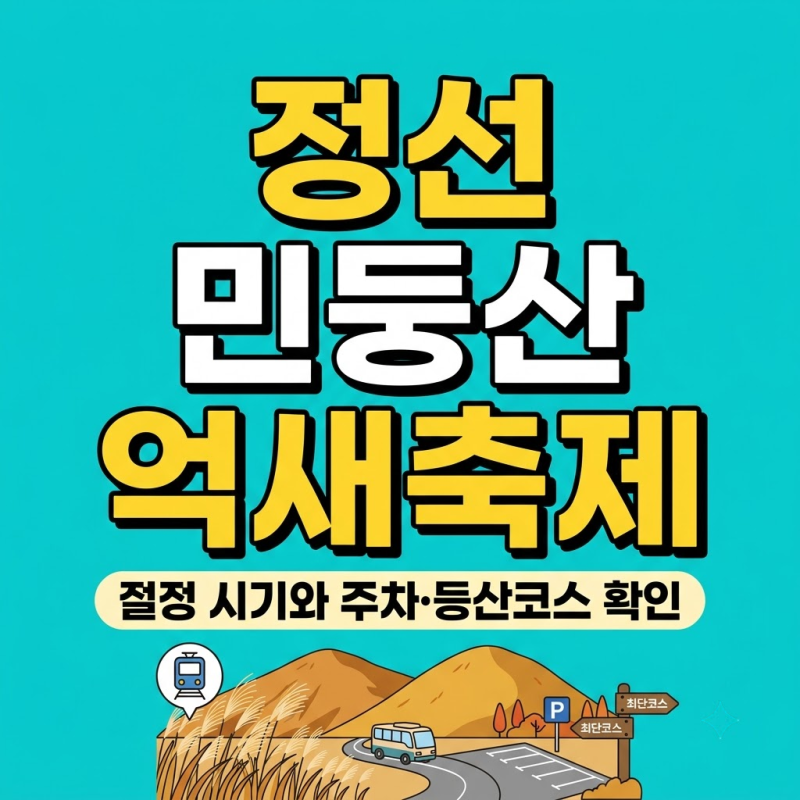 정선 민둥산 억새축제 기간·절정 시기와 최단 등산코스, 주차장·셔틀버스 확인