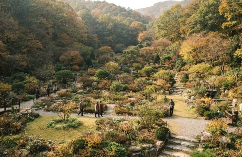 가평 아침고요수목원 단풍 주차 꿀팁과 입장료 할인 정리