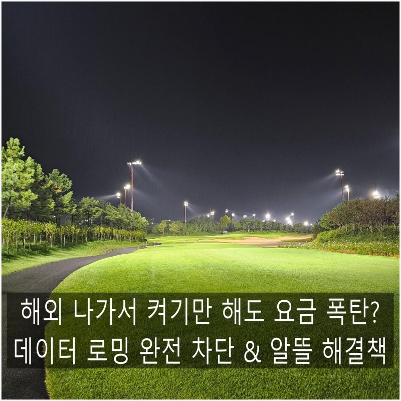 스마트폰 해외 로밍 요금 폭탄 원인 3가지와 데이터 차단 3분 해결책