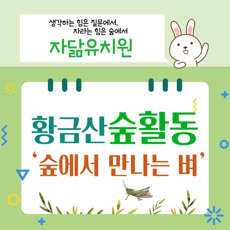 가을 숲에서 만난 작은 생명들 황금산 숲체험 이야기