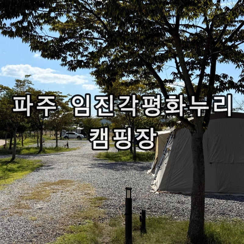 파주 캠핑장 아이와 함께 다녀온 임진각 평화누리 캠핑장 피크닉 페스티벌 다녀온 후기