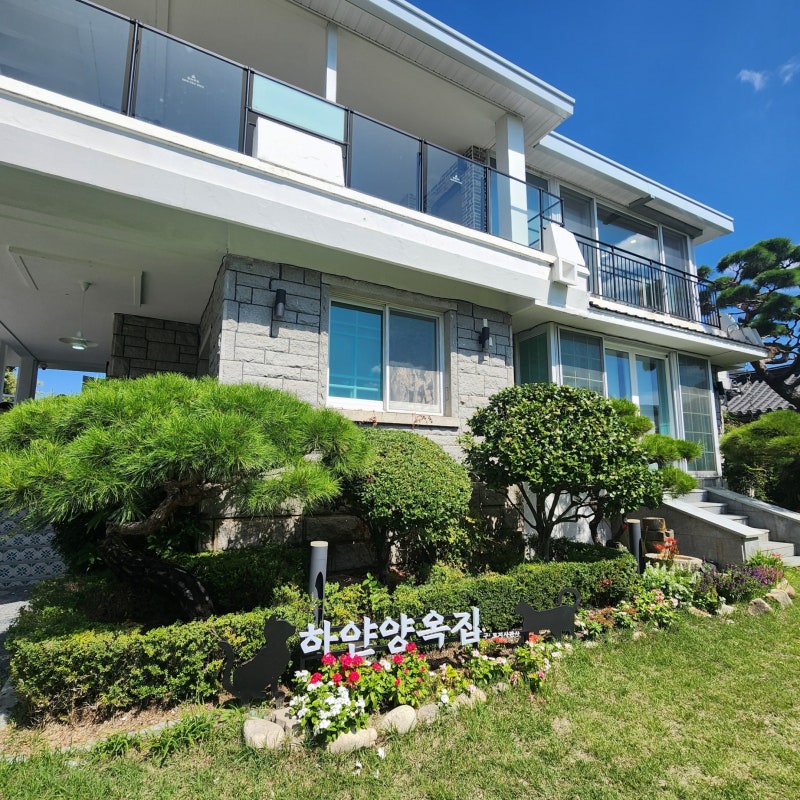 전주 한옥마을 가볼만한곳 하얀양옥집 전주여행코스 예쁜 명소