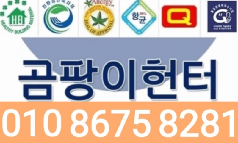밀양곰팡이제거 업체 벽과 장판 밑 번짐