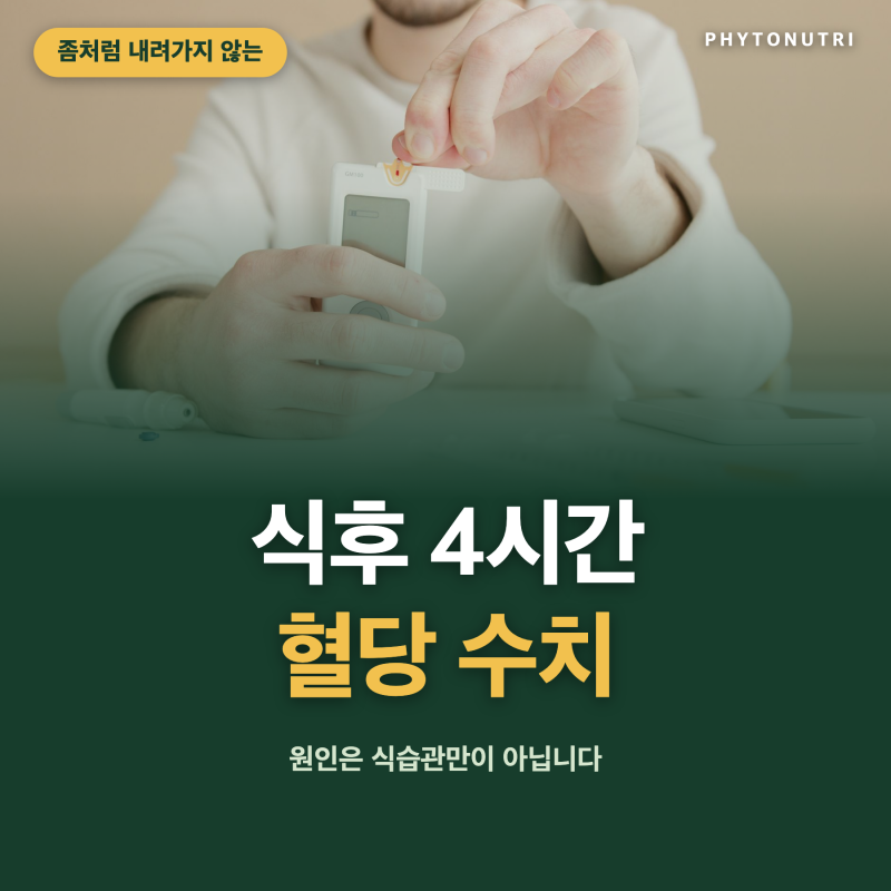 좀처럼 내려가지 않는 식후 4시간 혈당 수치, 원인은 식습관만이 아닙니다