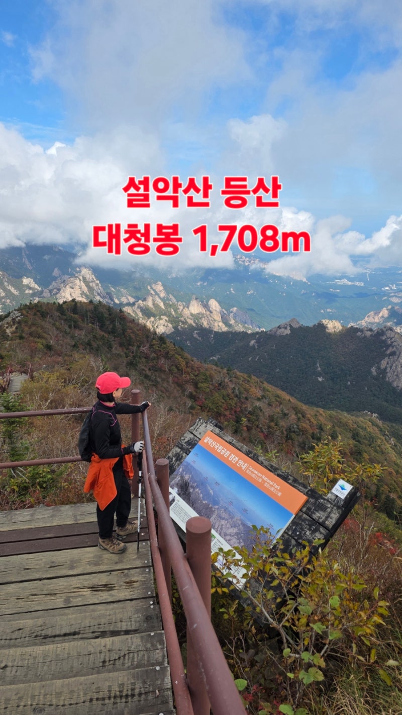 설악산 대청봉 등산 코스 설악산 요즘 단풍 설악산 국립공원 강원도 여행 요즘 가볼 만한 산