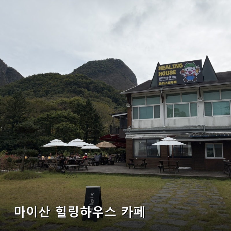[진안 마이산 카페] _ 힐링하우스 / 애견동반카페