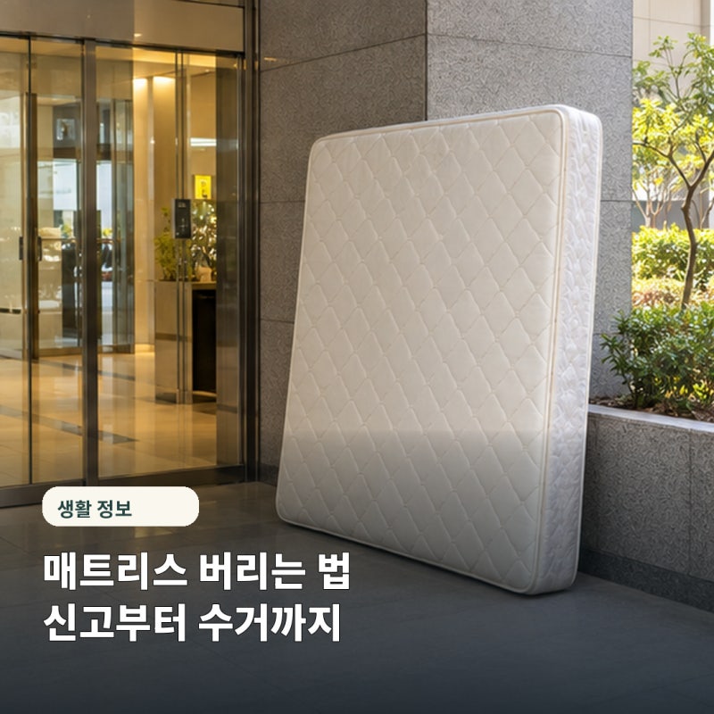 "몰래 버리면 과태료 100만원" 매트리스 버리는 법 총정리