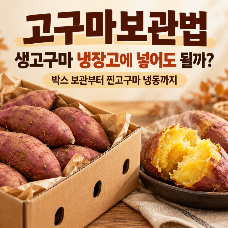고구마보관법 생고구마 냉장고에 넣어도 될까? 박스 보관부터 찐고구마 냉동까지