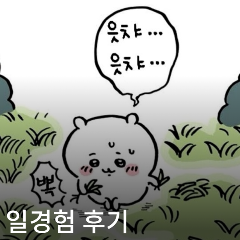 2026 미래내일 일경험 인턴형 후기, 급여 팁 신청방법