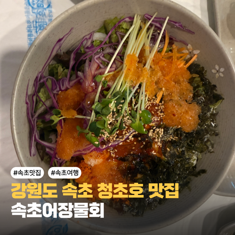 강원도 속초 청초호 속초중앙시장 맛집 속초어장물회! 섭국 홍게비빔밥 전복죽