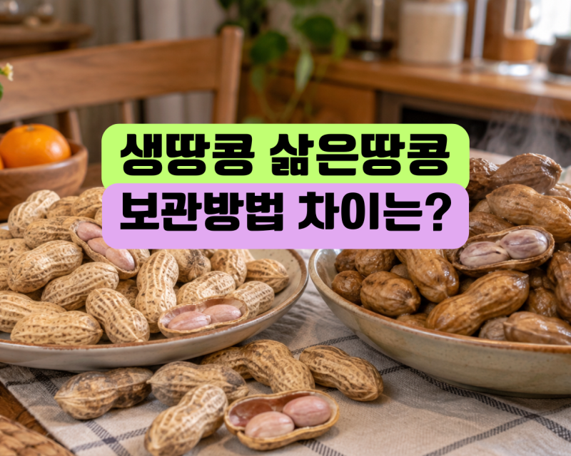 생땅콩과 삶은 땅콩, 보관법이 다를까? 냉장·냉동 방법 정리