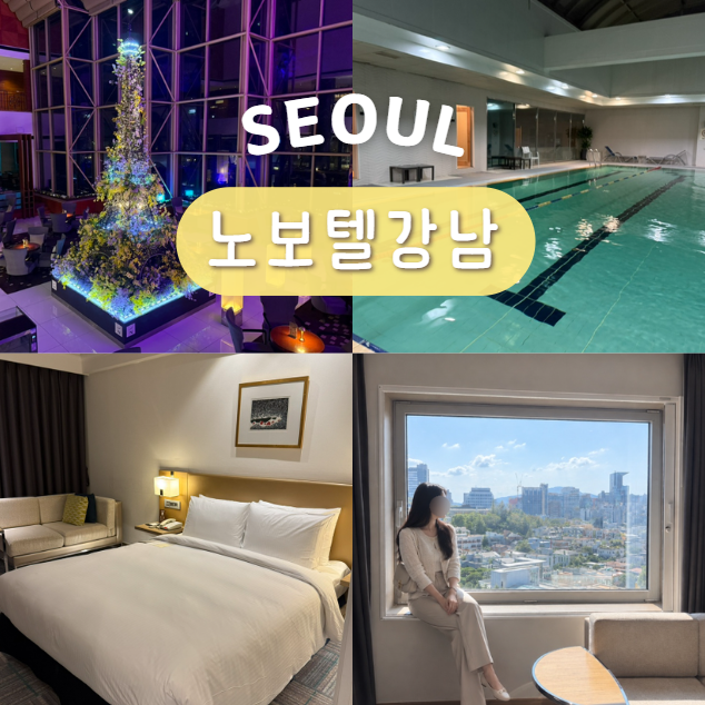 서울 호캉스 추천 5성급 호텔 노보텔강남 수영장 사우나