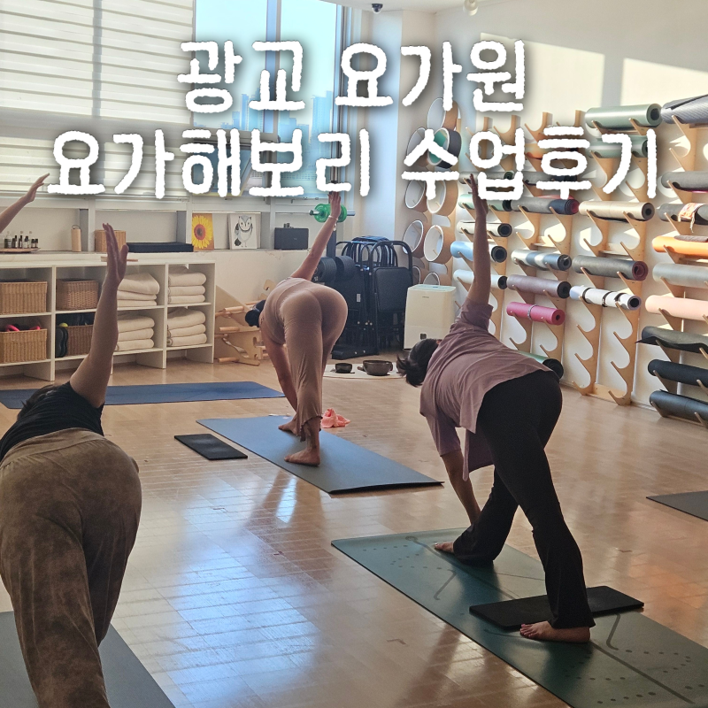 광교요가원데이 요가해보리 직접 체험한 클래스 후기