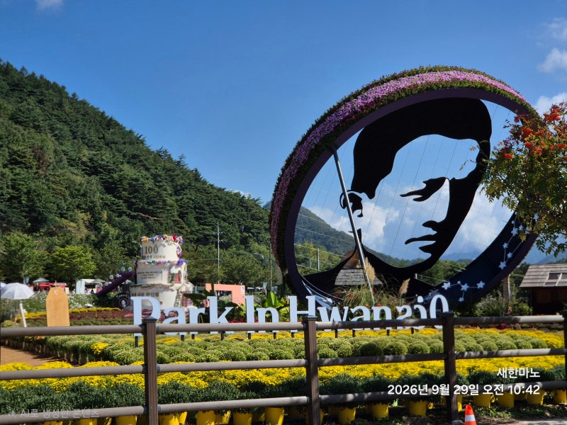 [인제 드라이브] 울산에서 인제까지, 비를 뚫고 만난 시인 박인환의 향기와 가을꽃축제