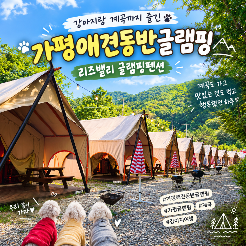 가평애견동반글램핑 계곡까지, 강아지 3마리와 제대로 즐겼어요
