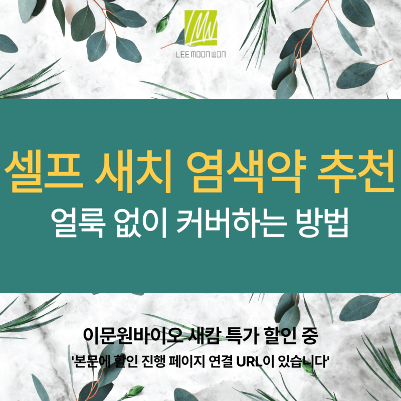 집에서 혼자 셀프로 간편하게 얼룩 없이 커버하는 새치 염색약 추천