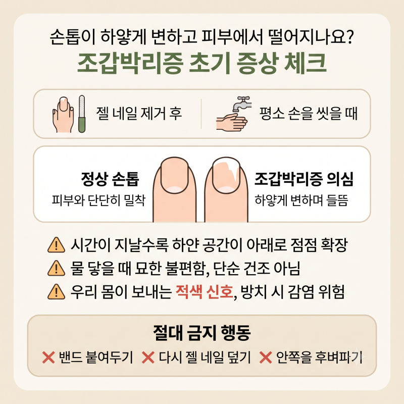 손톱 조갑박리증 벌어지고 들뜨는 원인 회복 방법