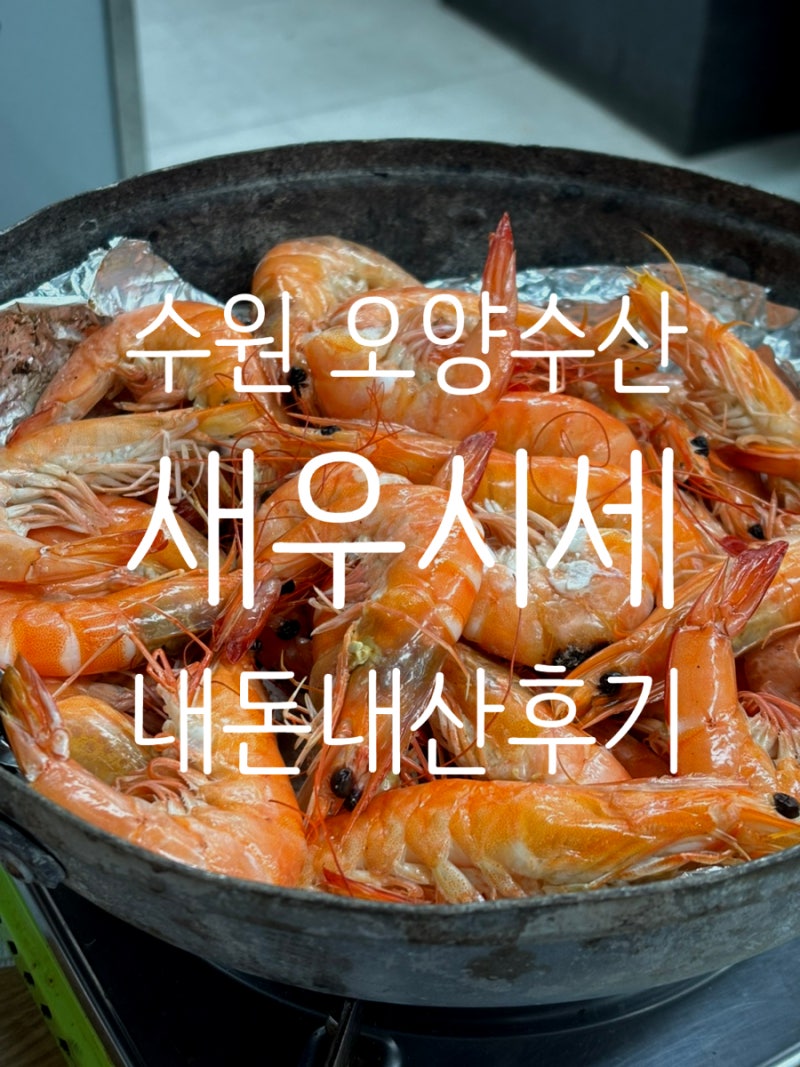 수원 농수산물도매시장 오양수산 새우 시세｜온누리상품권 사용하고 소금구이까지