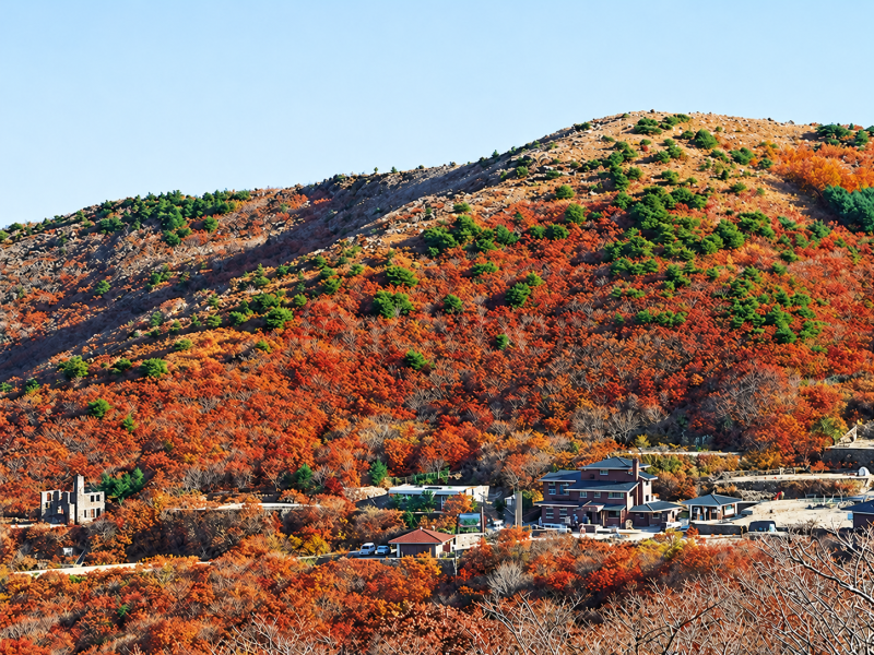 설악산 내장산 지리산 북한산 속리산, 올해 단풍 절정 시기는 언제 ?