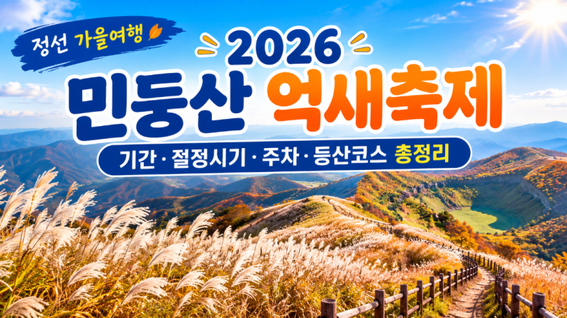 2026 민둥산 억새축제 총정리 기간·억새 절정시기·주차·셔틀버스·등산코스까지