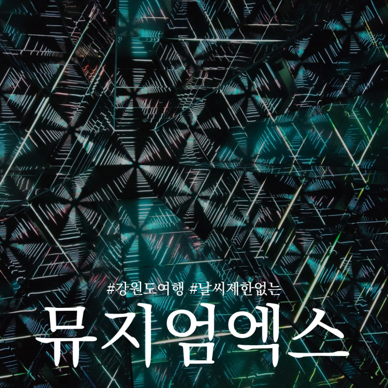 날씨제한없이 속초가볼만한곳 속초데이트 속초놀거리 아이와 가기 좋은 뮤지엄엑스