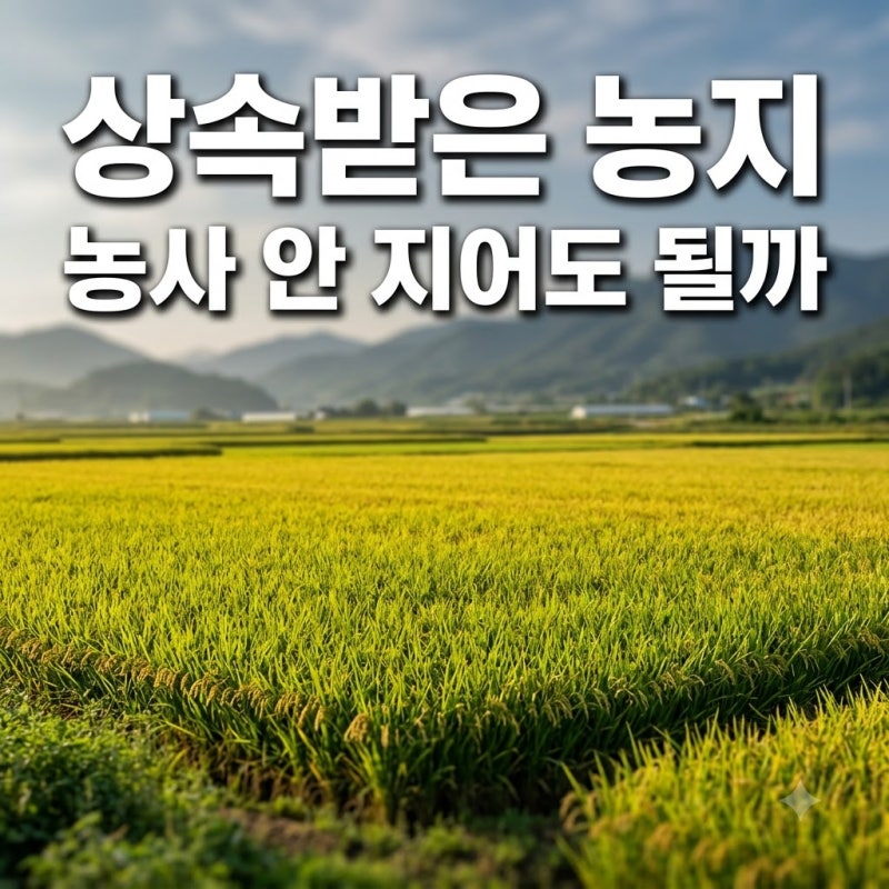 "부모님 농지 상속받았는데" 농사 못 지으면 꼭 팔아야 할까요