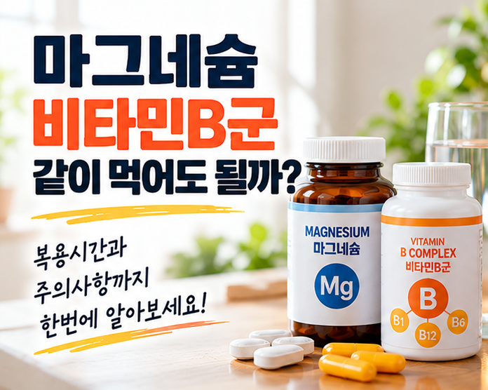 [건강한영양제] 마그네슘 비타민B군 같이 먹어도 될까 복용시간과 주의사항