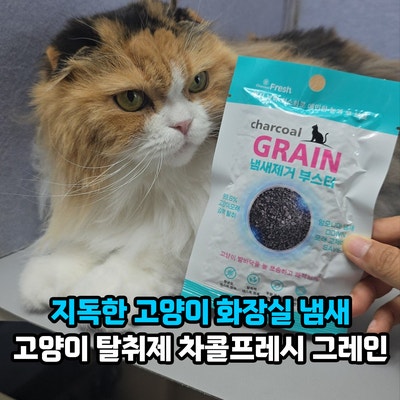 지독한 고양이 화장실 냄새 제거가 고민이라면? 고양이 모래 탈취제 차콜프레시 그레인 사용....