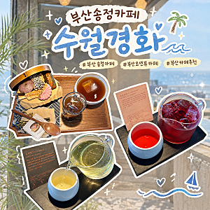 [송정카페] 부산 송정 카페 추천, 부산 오션뷰 카페, 수월경화 솔직후기