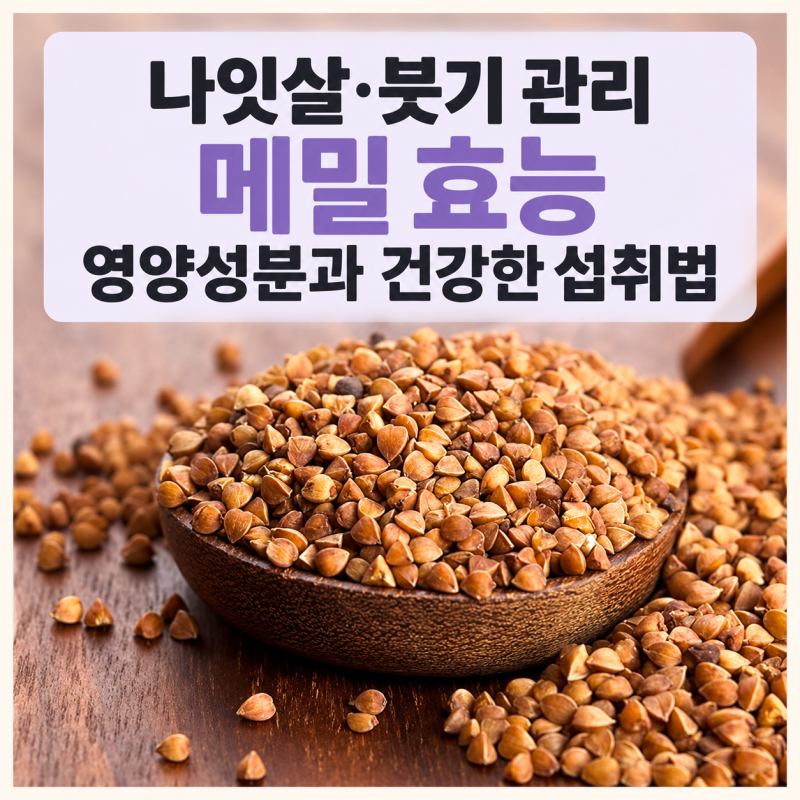 나잇살 붓기 쏙 빼주는 메밀 효능! 영양성분과 건강한 섭취법