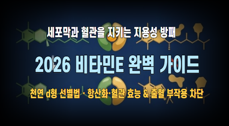 비타민E 2026: 인지질 세포막 항산화·피부 광노화 방어·혈관 내피 보호 효능 분석 & 합성(dl) vs....