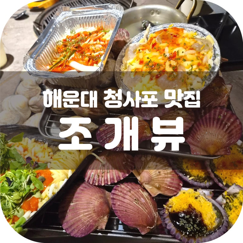 부산 해운대 청사포 조개구이 맛집 '조개뷰' 내돈내산 후기