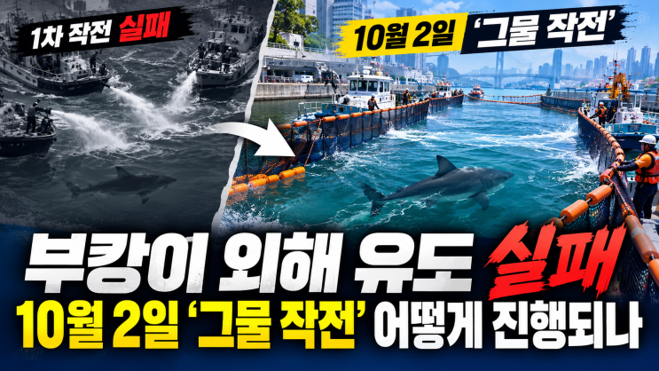 부산 <b>상어</b>,<b>부캉이 외해 유도</b> 실패, 10월 2일 ‘그물 작전’ 어떻게 진....