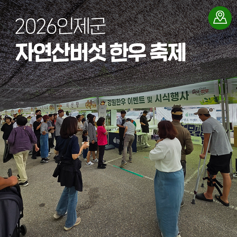 2026인제군 자연산버섯 한우 축제 실시간 현장! 9/22~9/27 인제읍 정중앙휴게소 일원 [강원도 인....