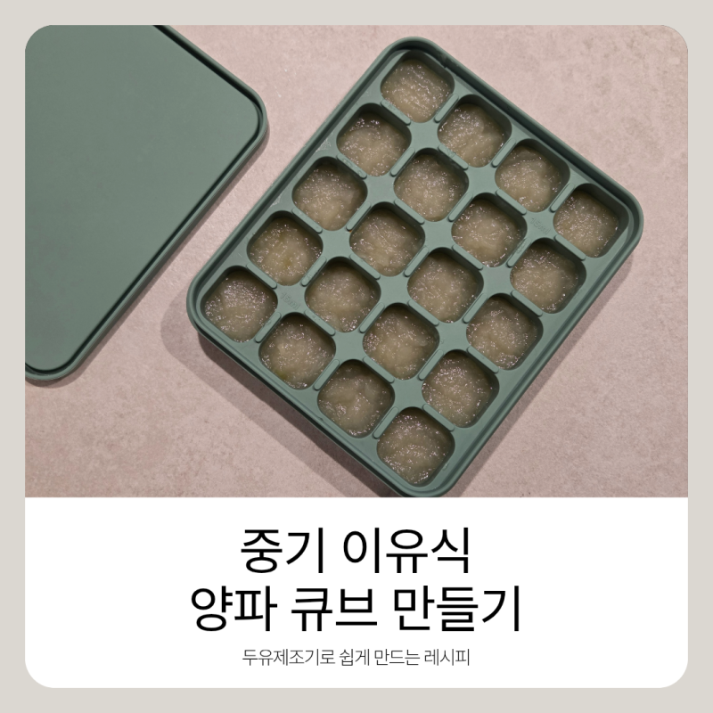 중기 이유식 양파 큐브 만들기 | 세척부터 매운맛 제거, 영양 성분까지 (feat. 마이아 두유제조....