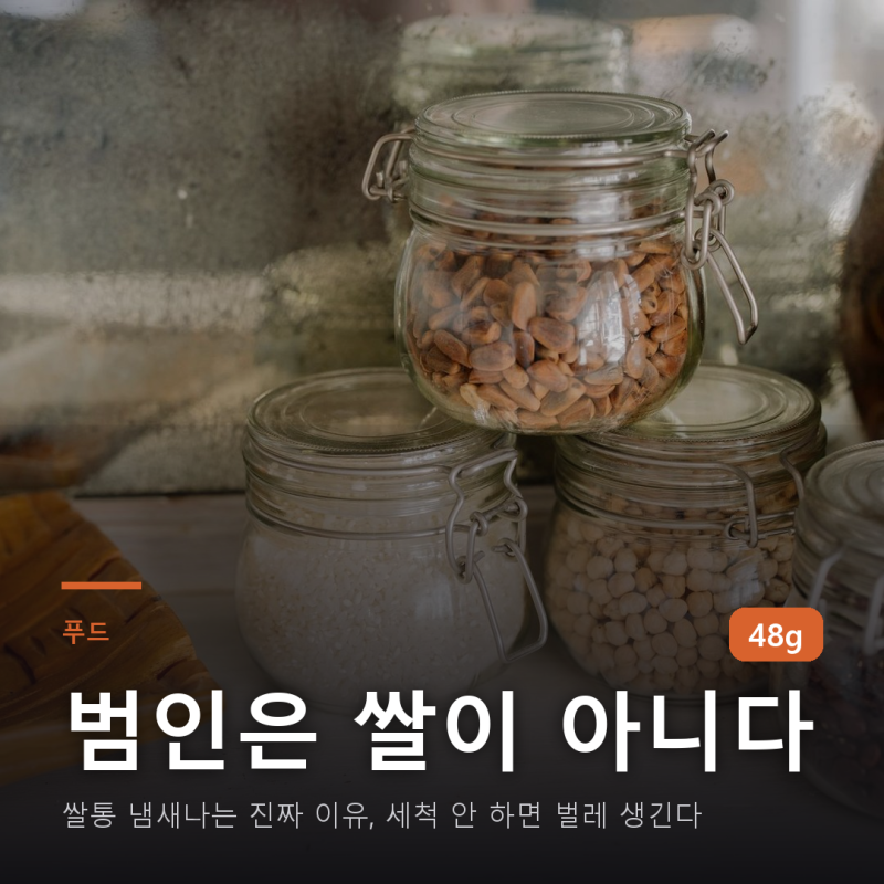 쌀통 냄새나는 진짜 이유, 세척 안 하면 벌레 생긴다