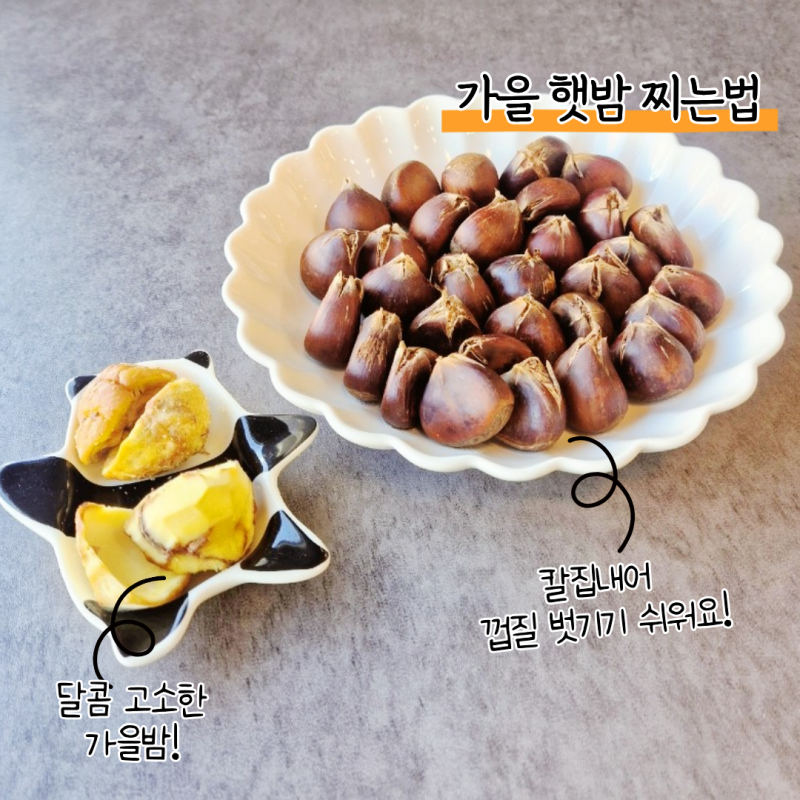 가을 햇밤 맛있게 찌는법 밤 삶는법 열십자 칼집 하나면 껍질도 쏙