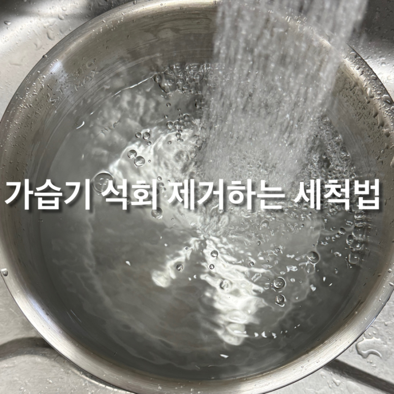 가습기 바닥 하얀 가루 정체와 구연산으로 석회 제거하는 세척법