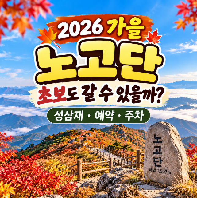 2026 지리산 노고단 가을 등산코스, 초보 성삼재주차장·예약방법 총정리