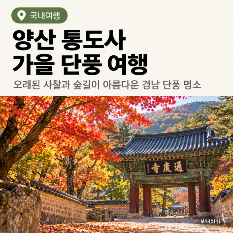 경남 단풍 명소 양산 통도사 | 오래된 사찰과 숲길이 아름다운 가을여행